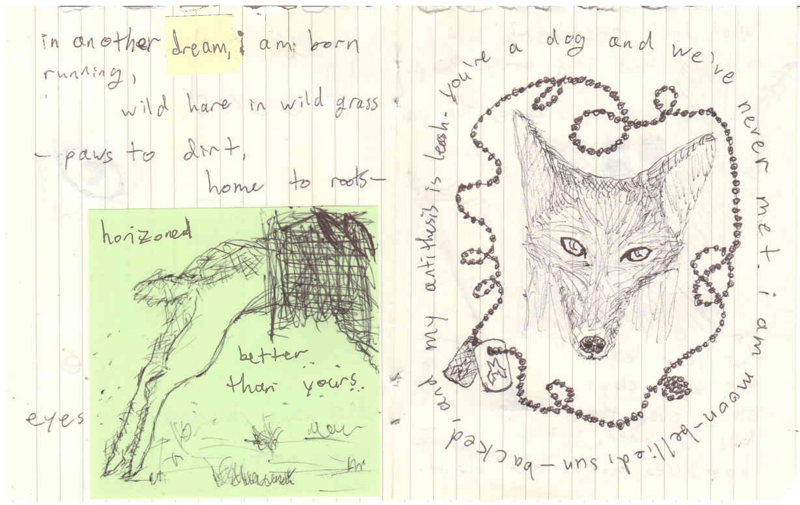 Two page spread showing a hare running and the face of a coyote surrounded by dog tags. text: in another dream, i am born running, wild hare in wild grass -- paws to dirt, home to roots -- eyes horizoned better than yours. you're a dog and we've never met. i am moon-bellied, sun-backed, and my antithesis is leash.