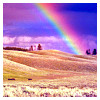 rainbow over hills