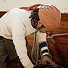 usopp-135.png