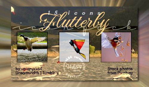 flutter_pack.jpeg