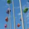 windsocks fluttering
