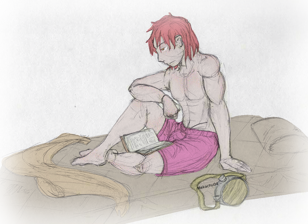 Today's book was Nonlinear Magnetohydrodynamics and Kidd had not the foggiest what that was suppose to mean, but he flipped through it, studying the diagrams with little context, but still fascinated as he munched on one of the eggs.