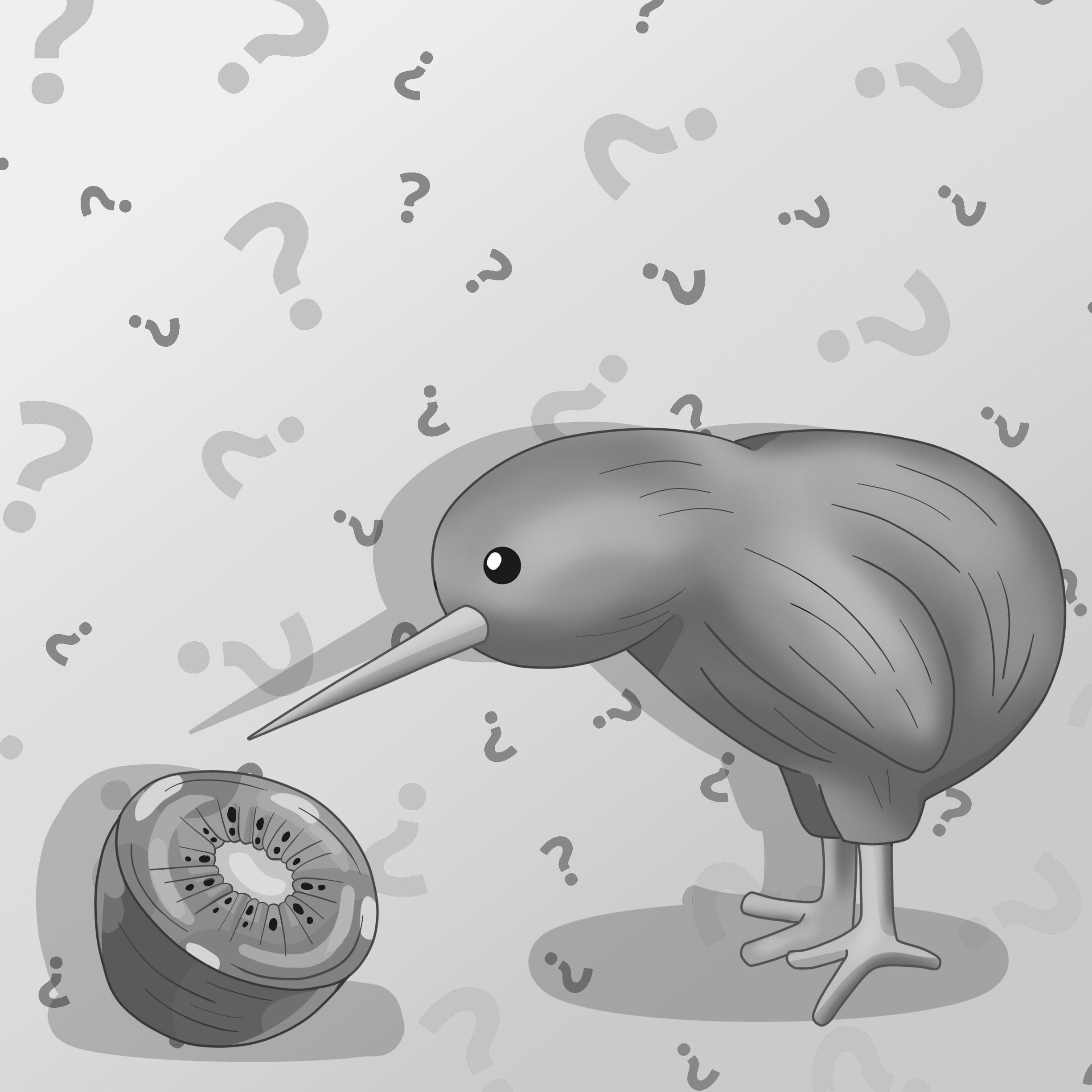 A drawing showing a kiwi bird looking at the fruit with the same name. Black and white.