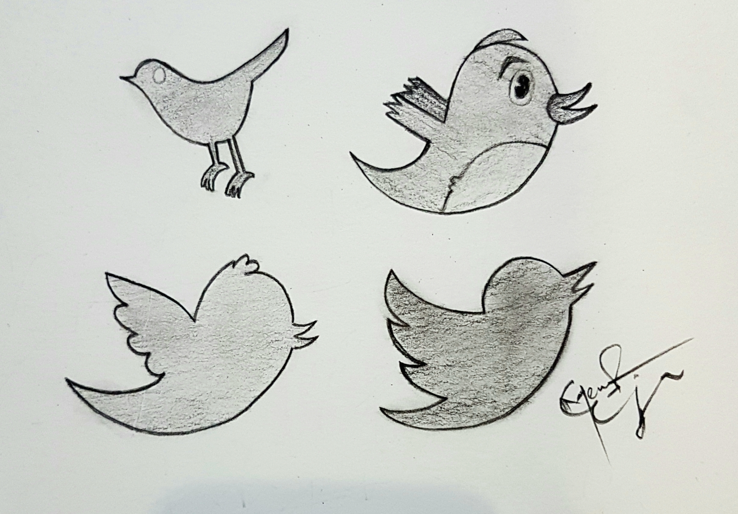 Charcoal drawing of the different Twitter birds.