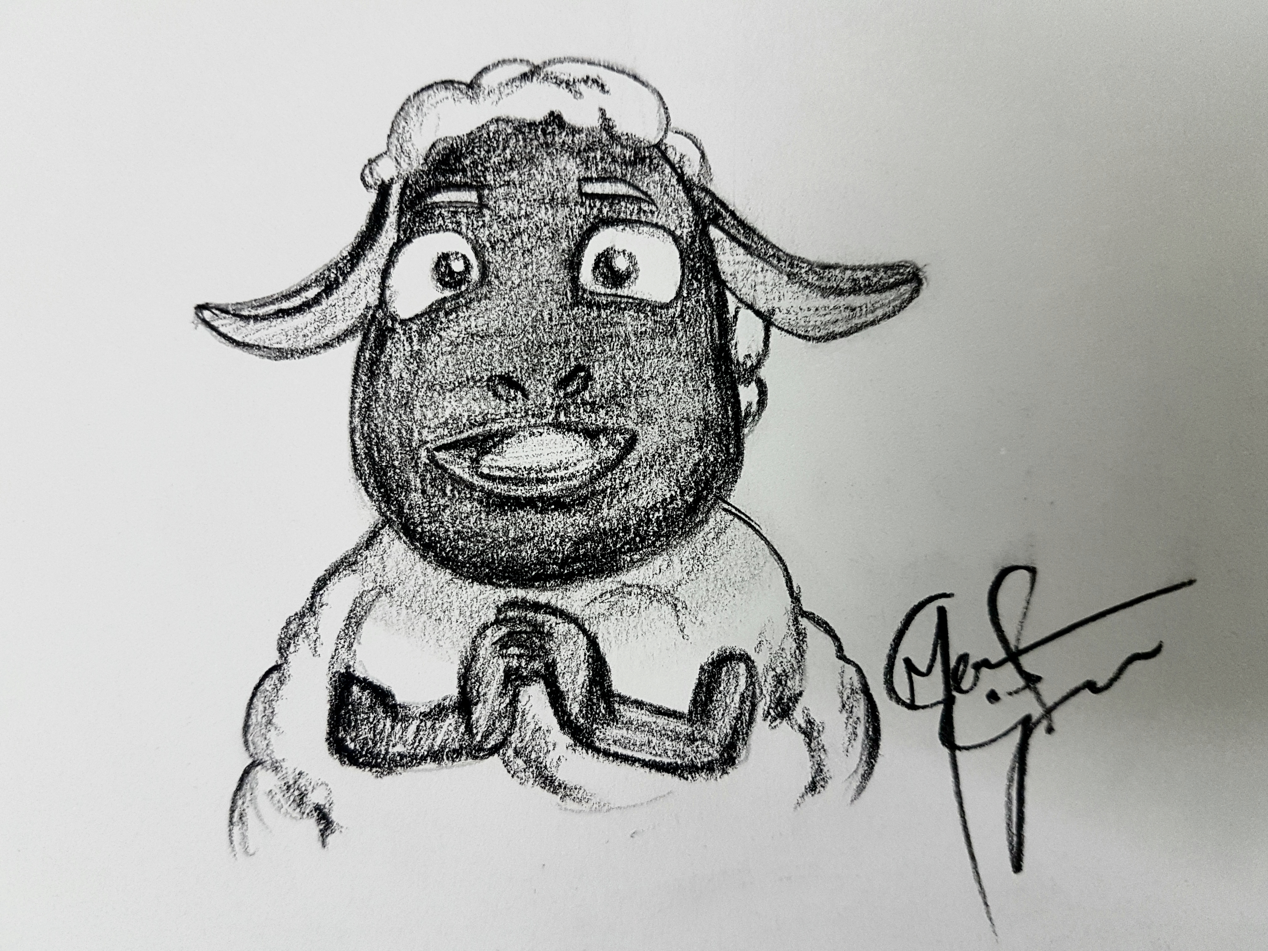 Wooly The Sheep Charcoal Drawing