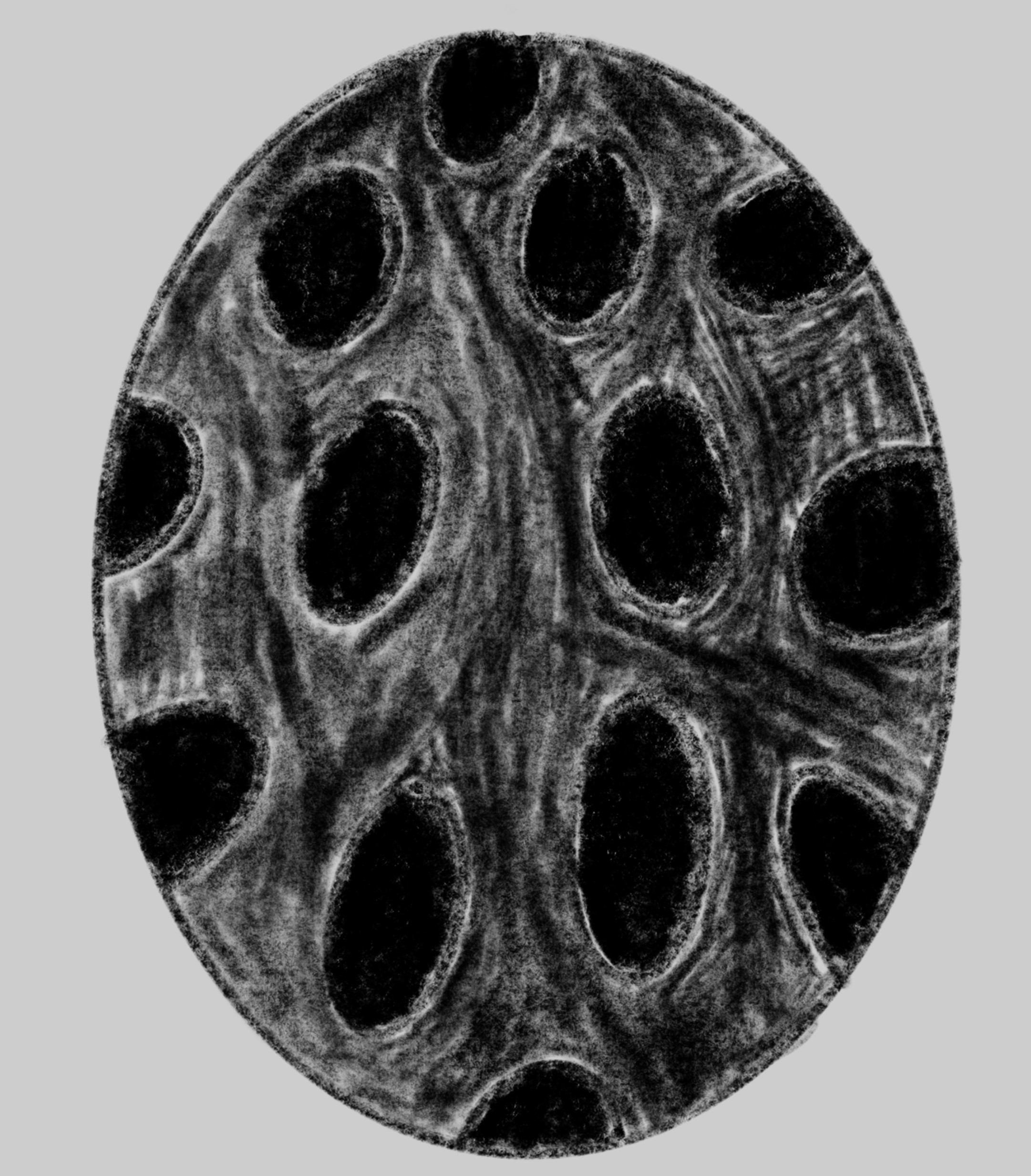 Decorative digital drawing in charcoal of a egg