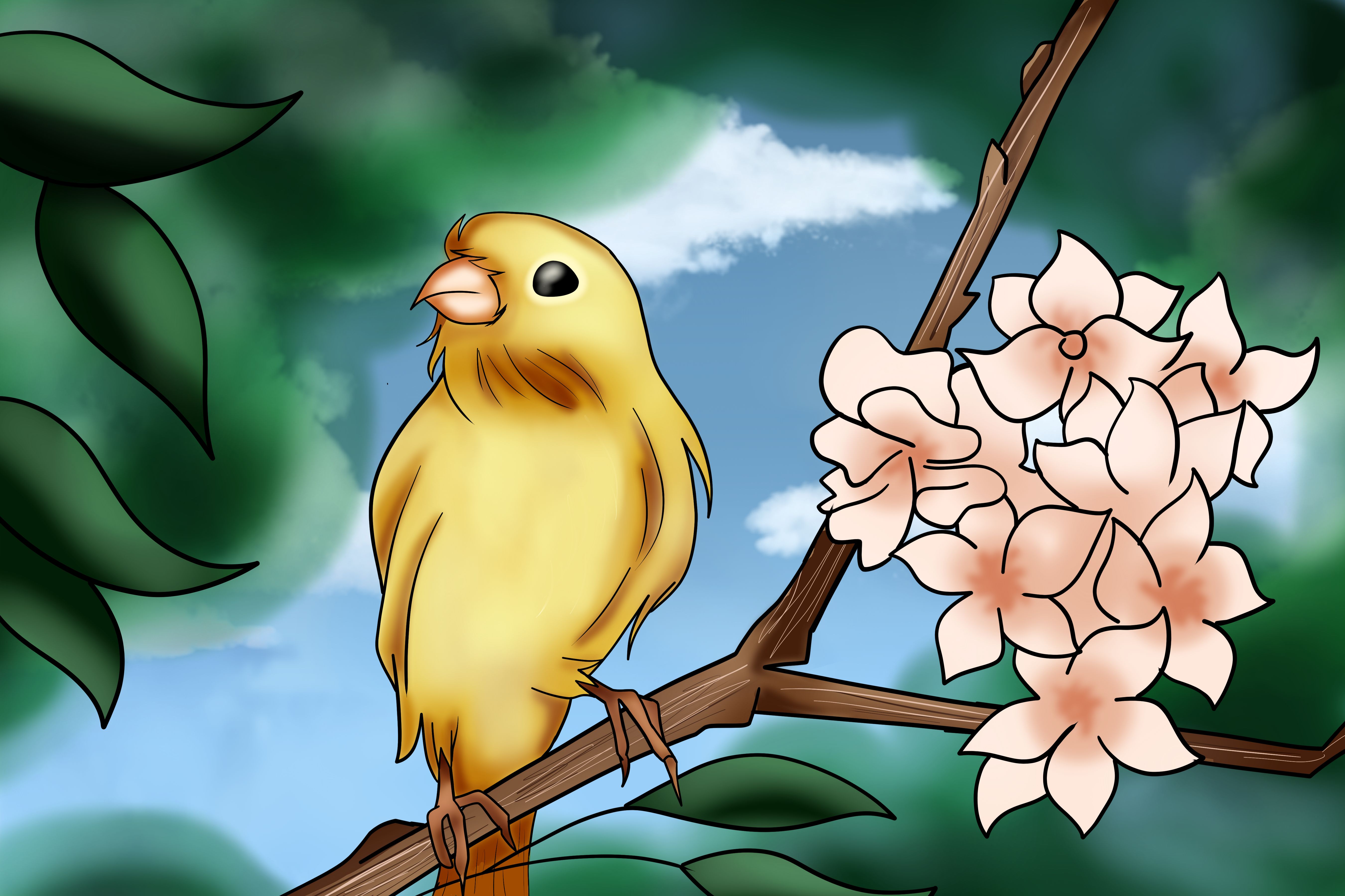 Yellow bird on a branch