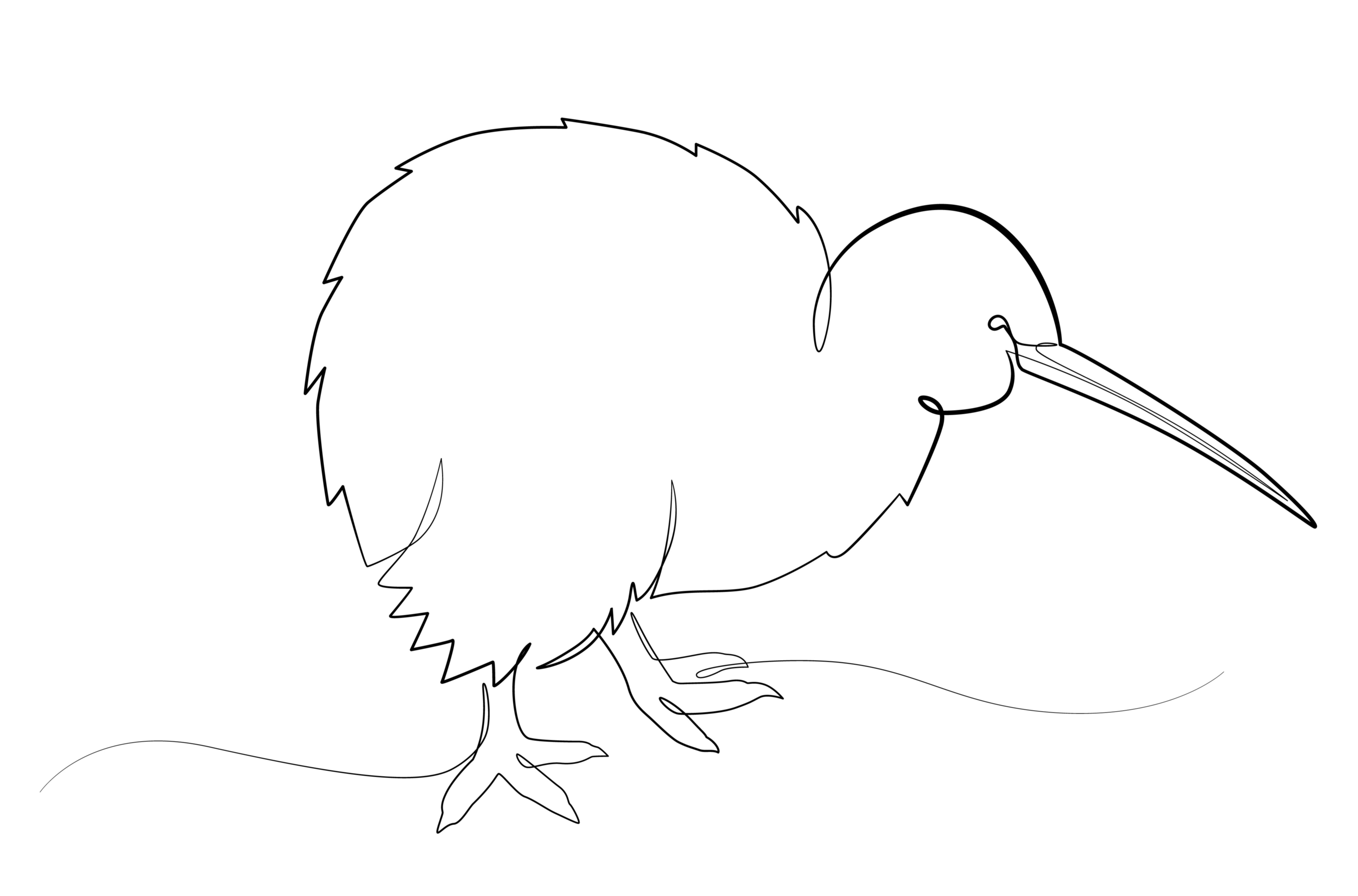 Un mignon oiseau kiwi dessiné en un trait