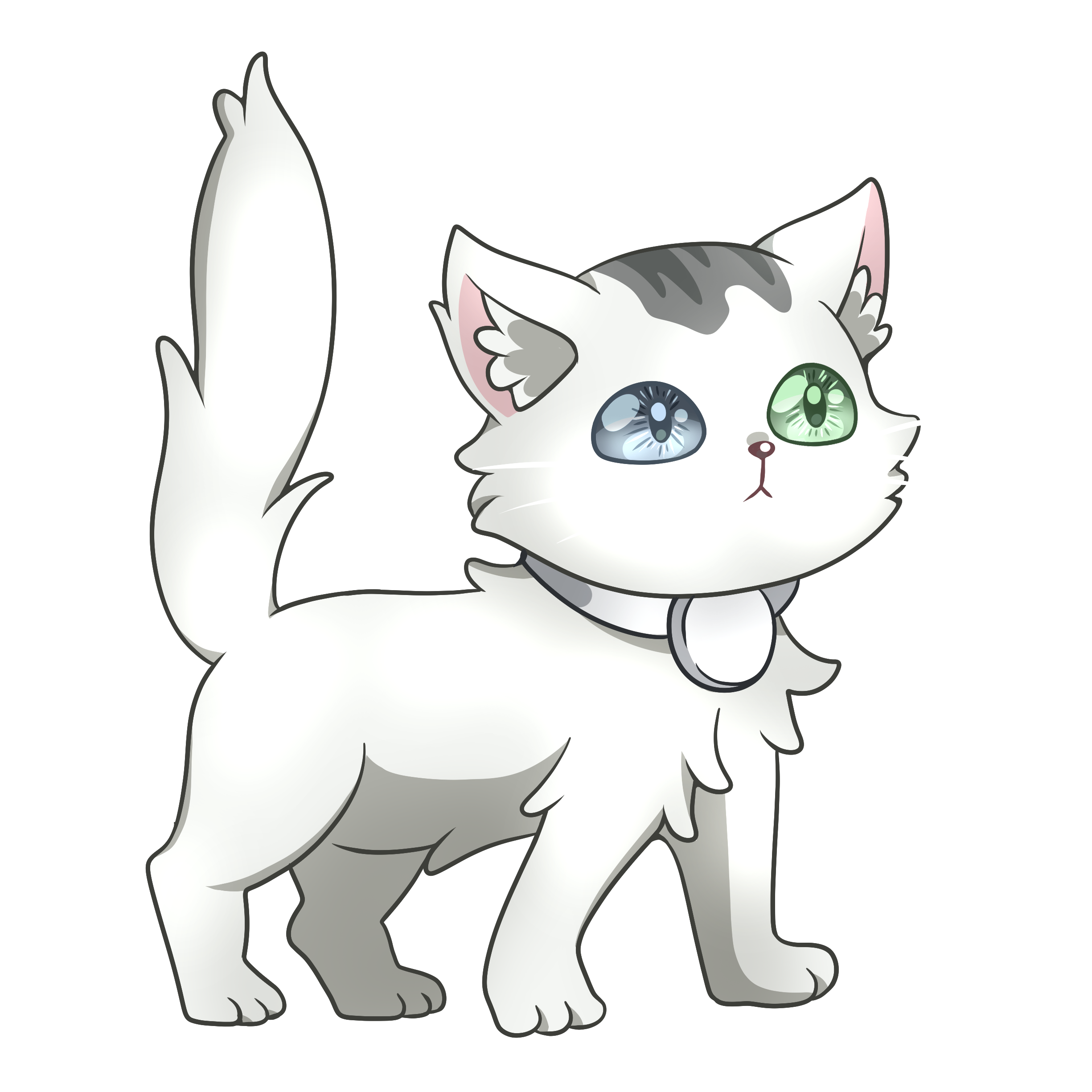 Opale, une chatte blanche avec du gris sur la tête. Elle a un oeil bleu et un oeil vert. Son poil est mi-long.