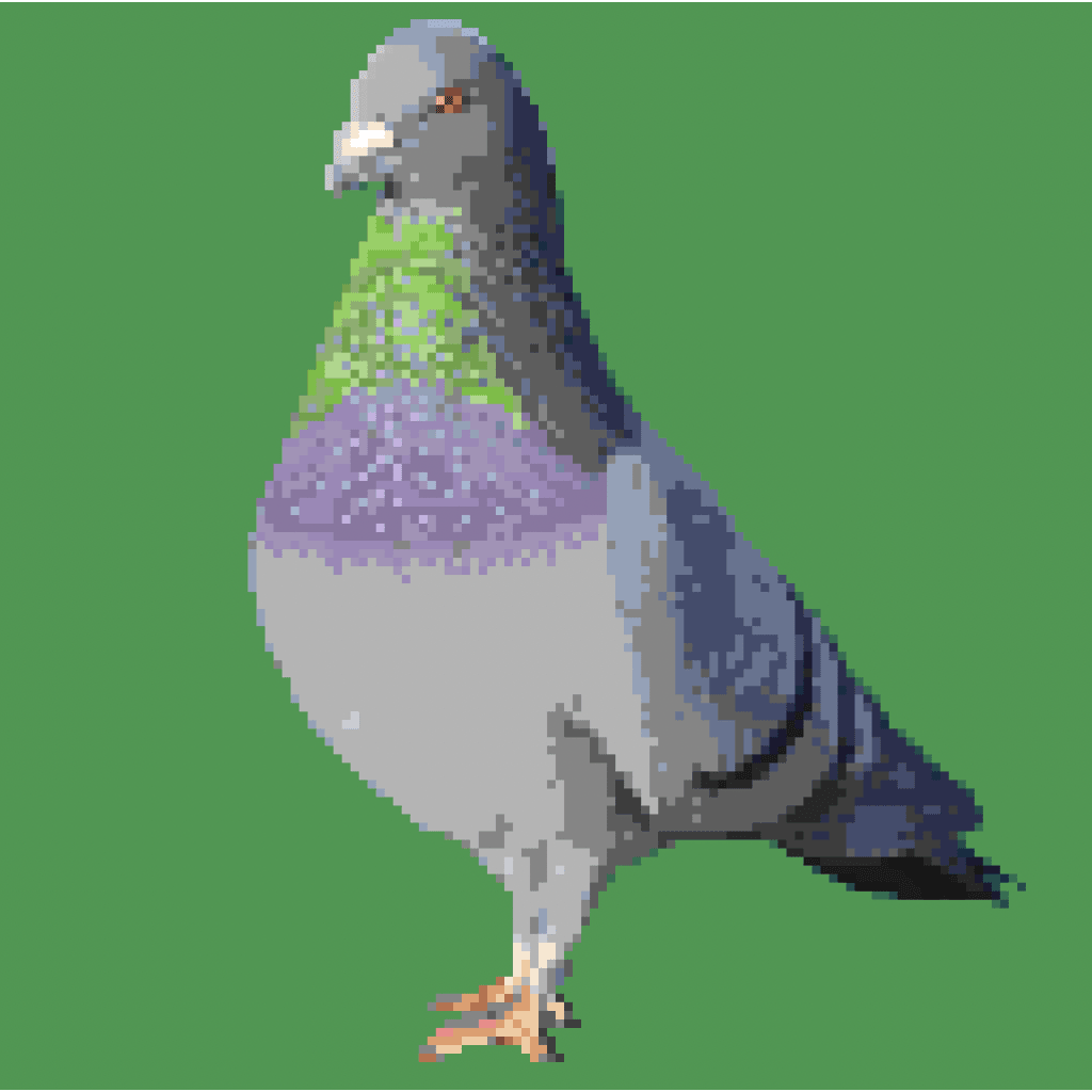 A cute pigeon in pixels.