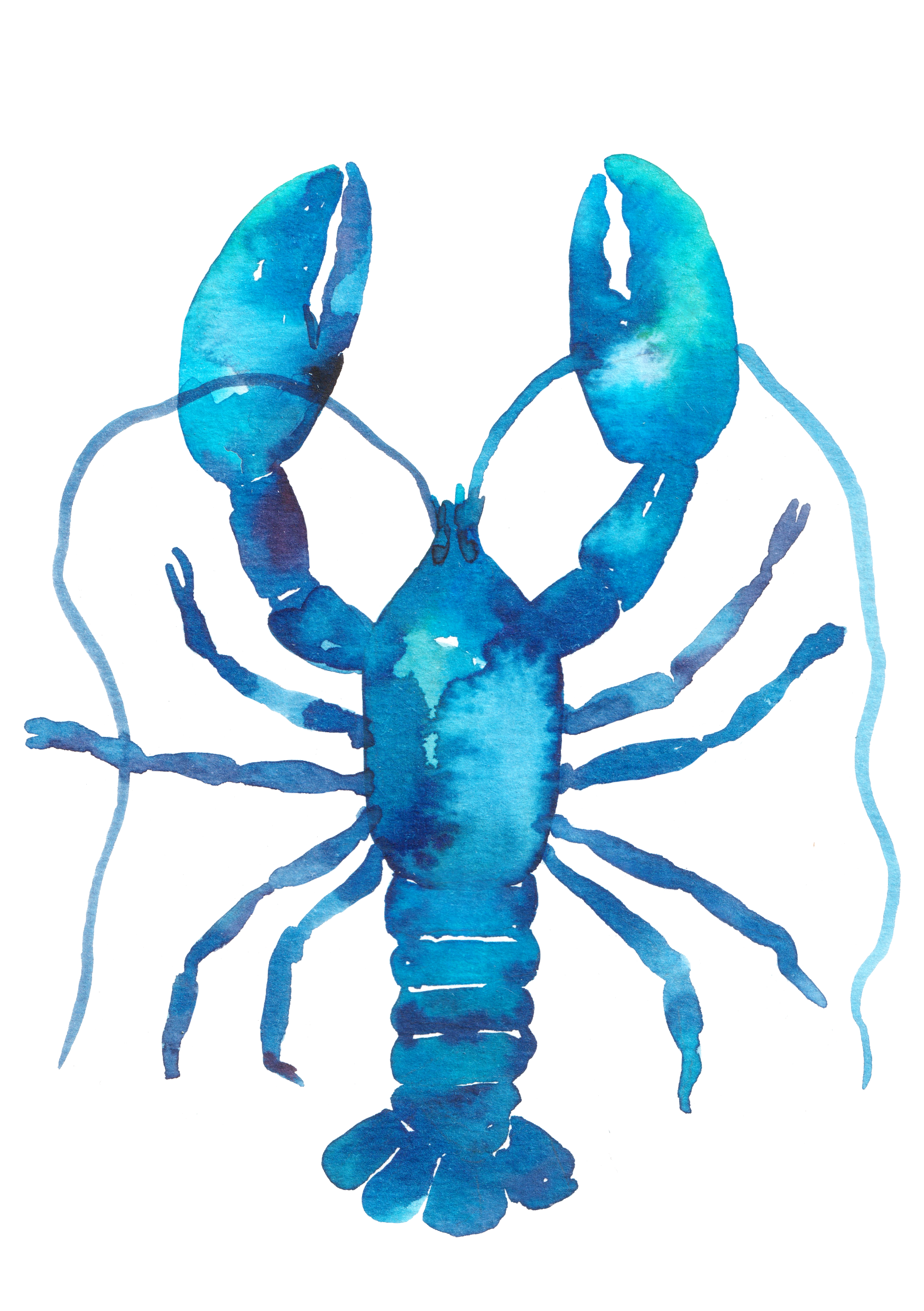 Watercolor Colorful Blue Lobster