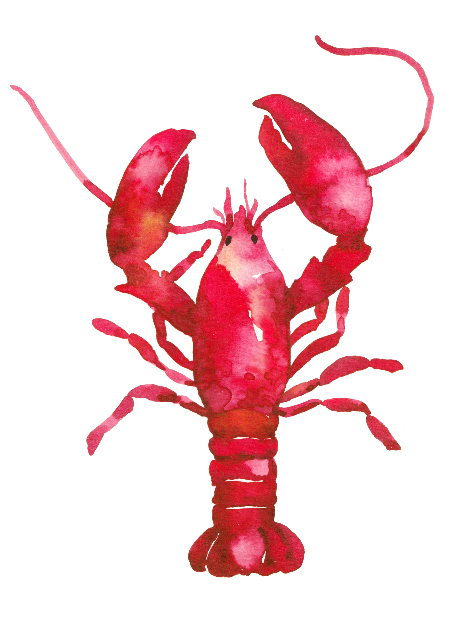 Watercolor Colorful Red Lobster