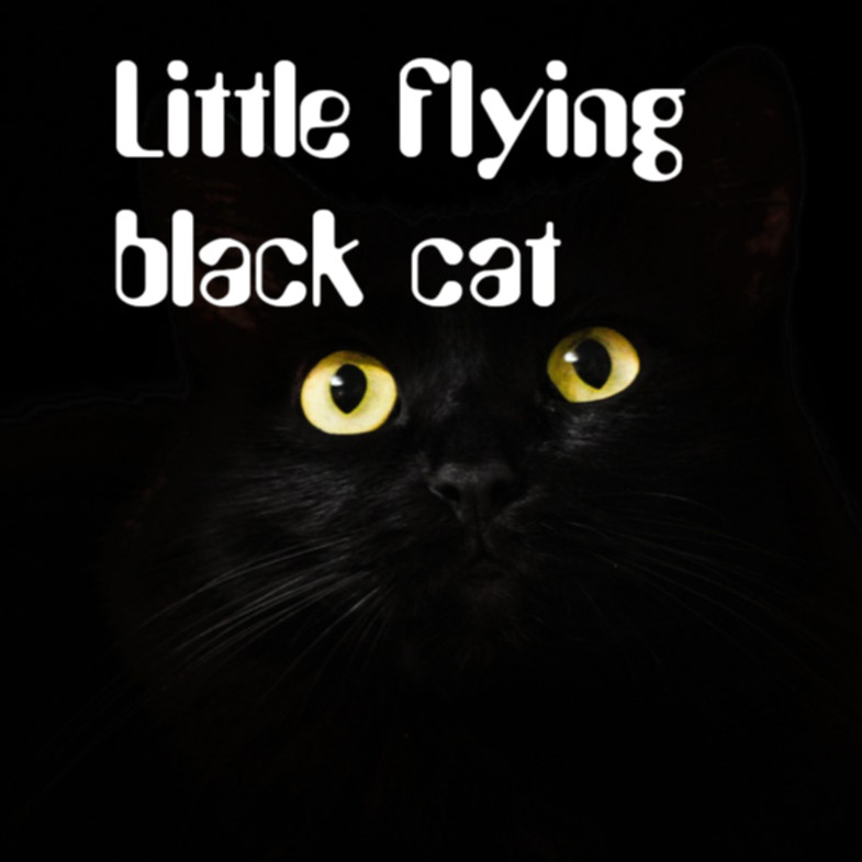 cover image, show a black cat with the title written in white with a futuristic font