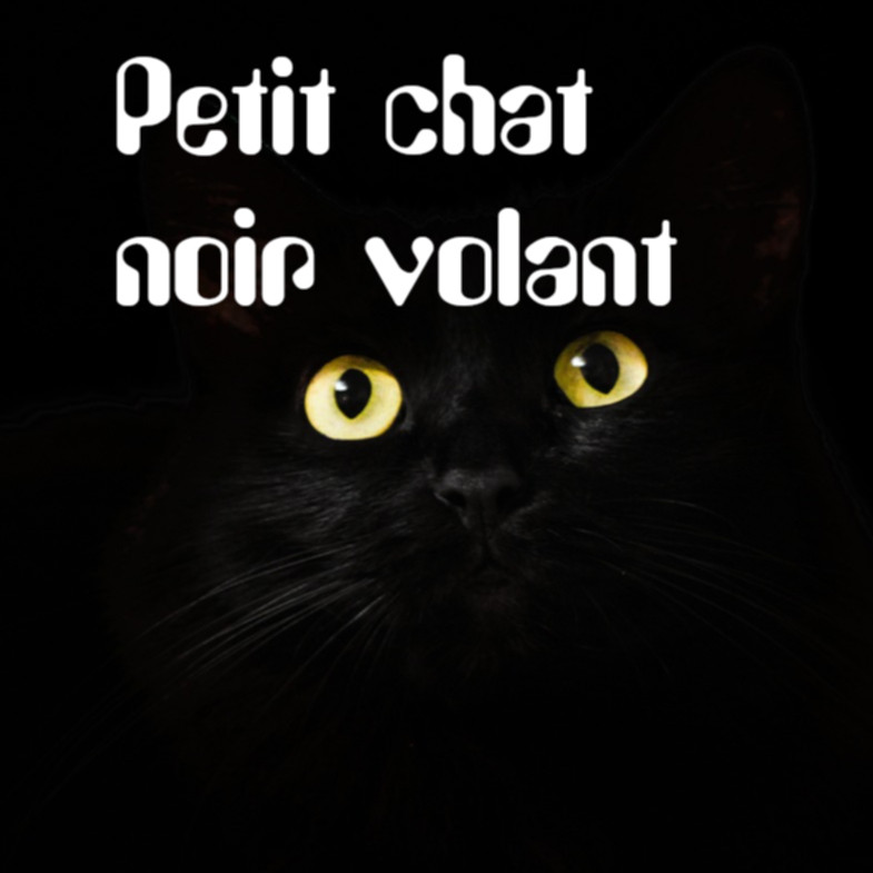 image de couverture, montre un chat noir avec le titre écrit en blanc avec une police futuriste