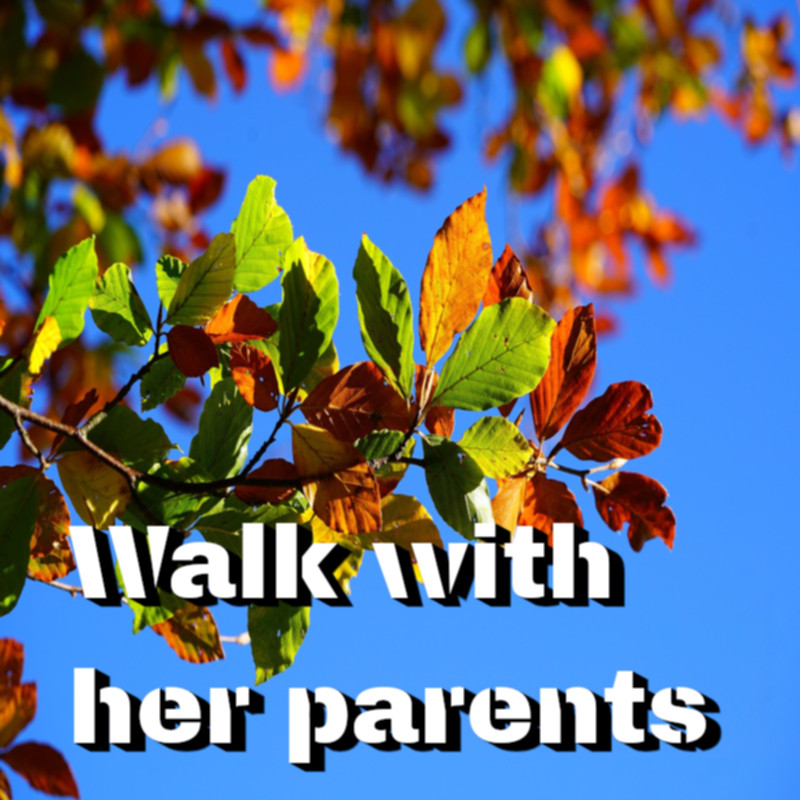 cover image, show the title with a tree branch full of leaves