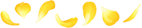 yellow-rose-petals.png