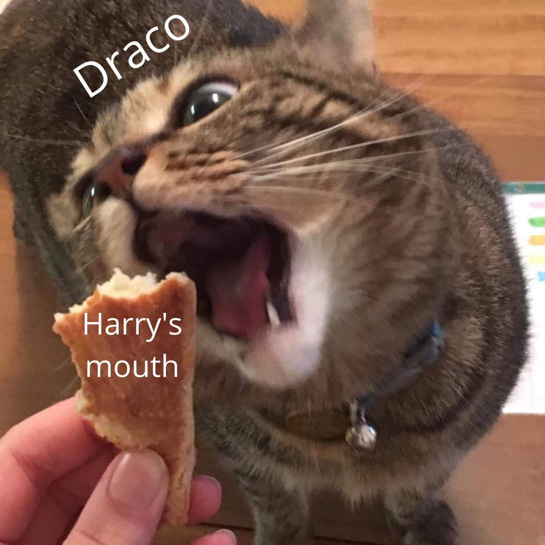 27.png