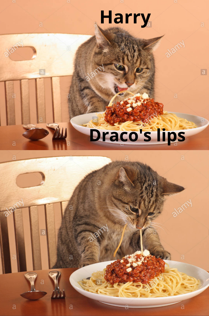 29.png