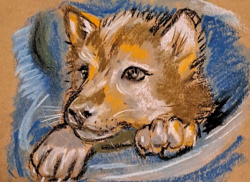 2024-09-16-Voyageurs-wolfpup.md.jpeg