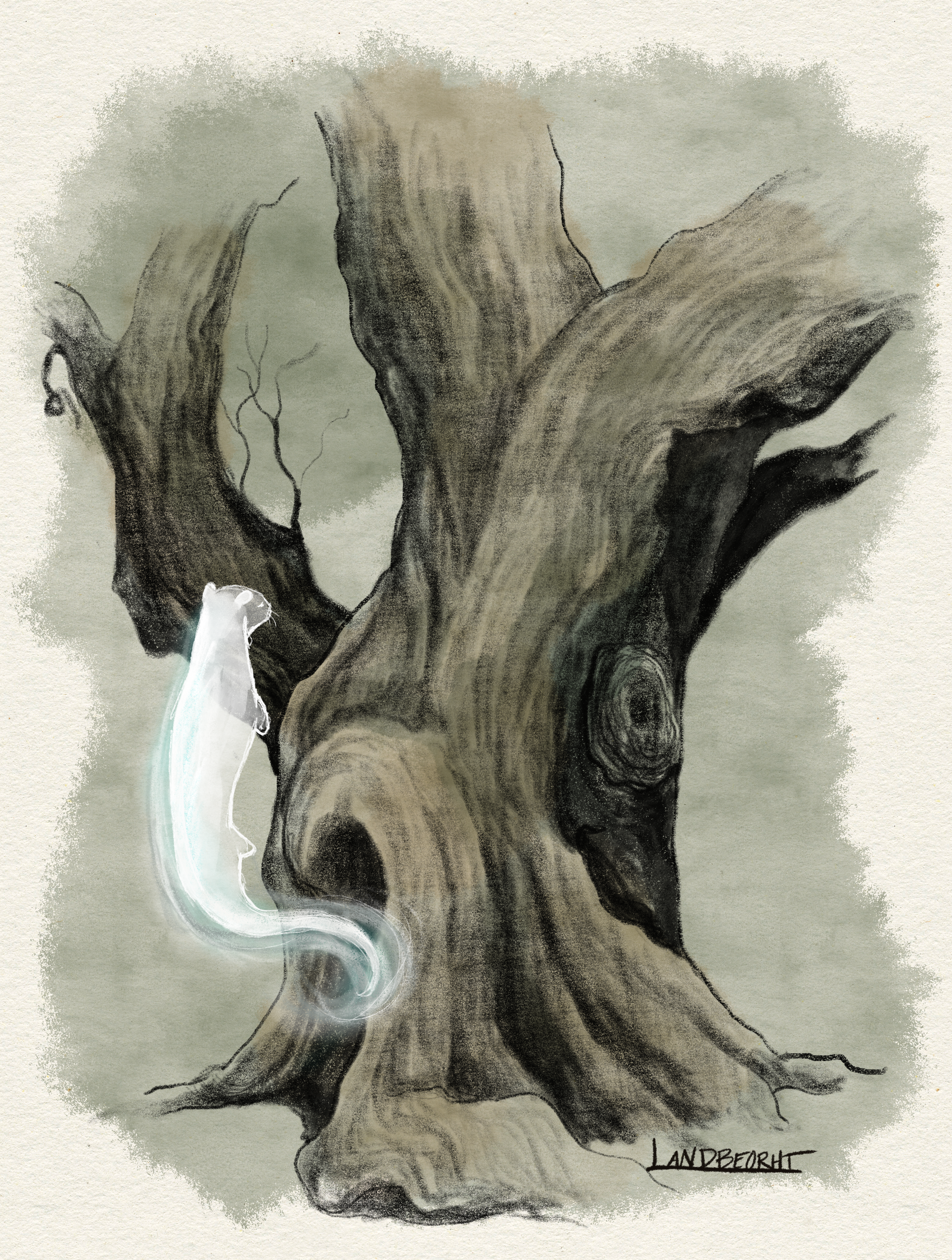 Hermione's otter patronus drifts in the forest