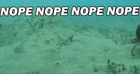 Octopus noping the fuck outta there