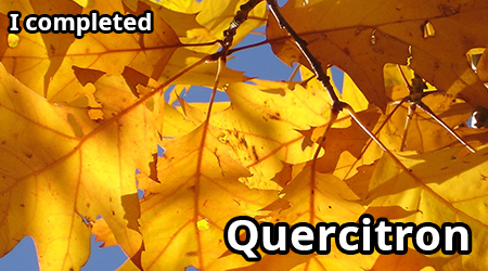 quercitron.png