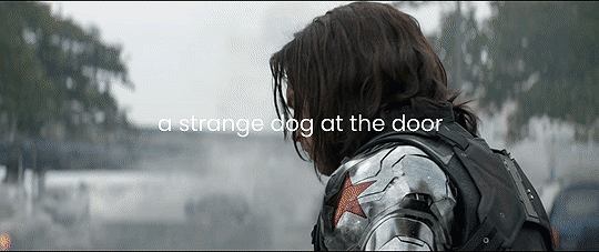 a gif of Bucky turning to face Steve right after his mask has been torn off and the text on the gif reads a strange dog at the door.
