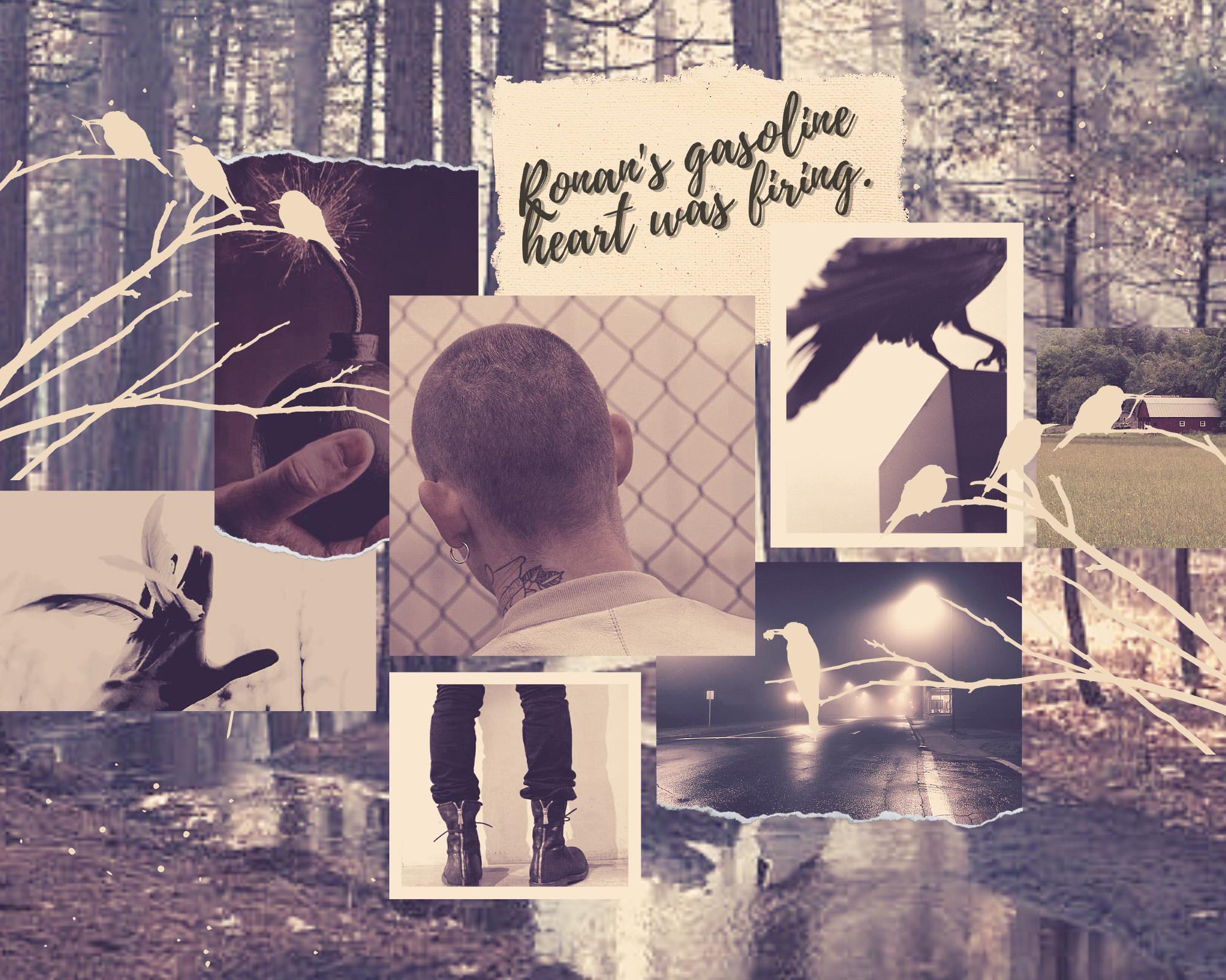 a square photo collage the background is a river in a forest and there are six pictures overlapping each other in the middle three on top and three on bottom the top three are a hand holding a lit bomb and the back of a boys shaved head with a tattoo peaking out from beneath his collar and a picture of the bottom half of a raven as it lands on the side of a building the bottom three pictures are a hand reaching toward the sky with feathers between the fingers and a view of the back of two feet from the shin down wearing black combat boots and a dark dimly lit wet street there are also silhouettes of gold birds on branches on the edges of the collage and the entire collage has a golden filter on it and the text in upper right reads Ronans gasoline heart was firing.