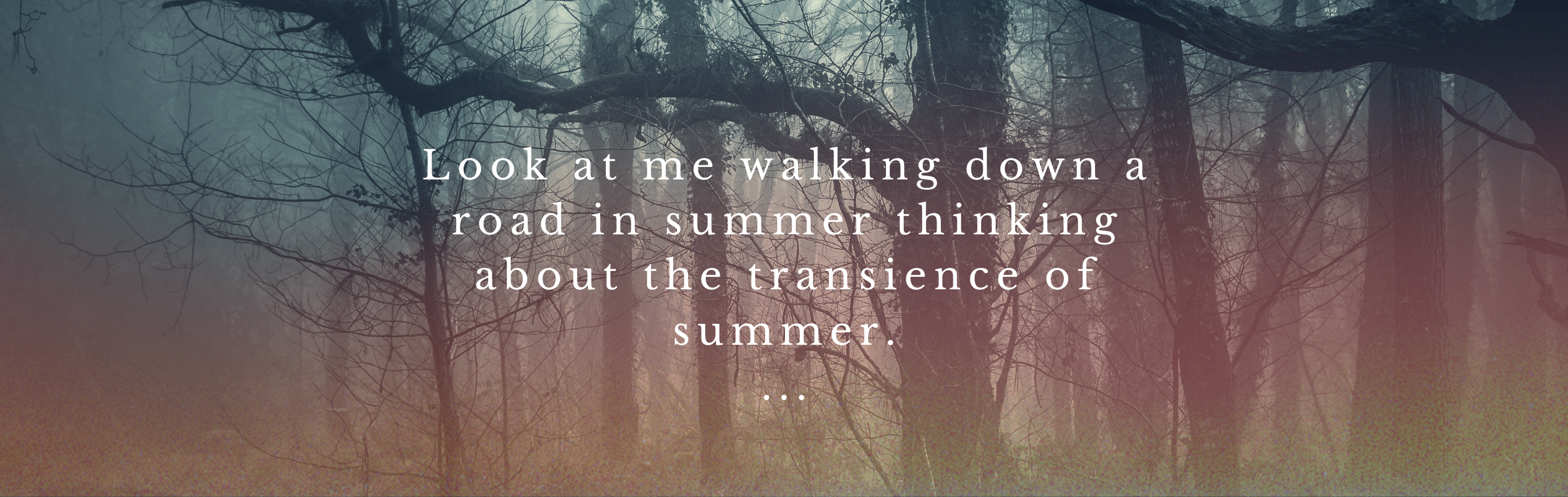 a picture of a dark forest with a sunset filter rising from the bottom and fading out half way up and the text on the picture reads look at me walking down a road in summer thinking about the transience of summer.