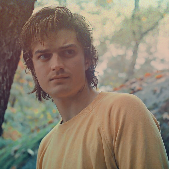 a picture of Steve looking serious in his yellow sweater while they are in the woods and he is listening to Eddie talk about lord of the rings the sunset filter from the previous picture melts down from the top and fades out quickly.
