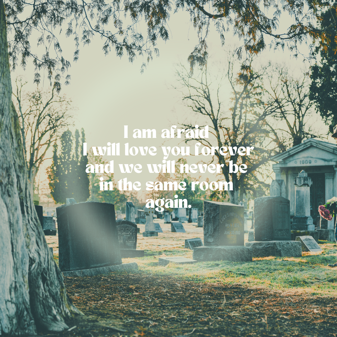 a picture of a sunny graveyard and a ring of dim light in the middle of the picture in the middle of the ring the text reads i am afraid i will love you forever and we will never be in the same room again.