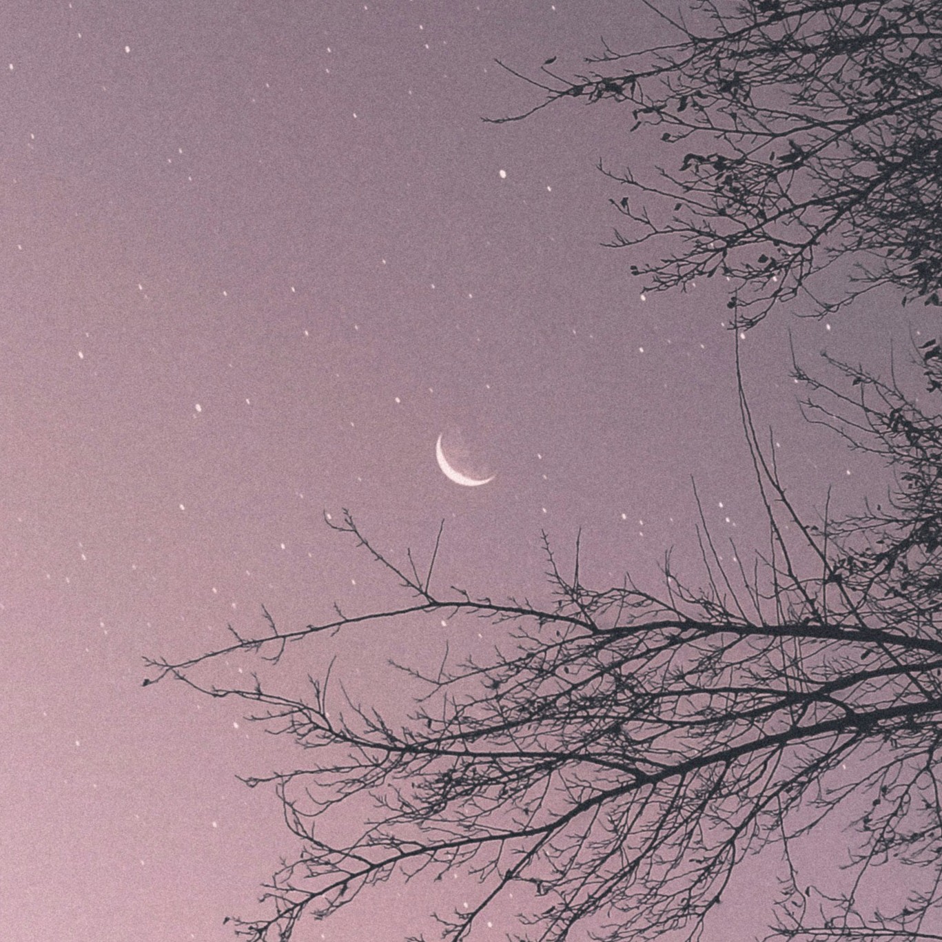 Image inserted here