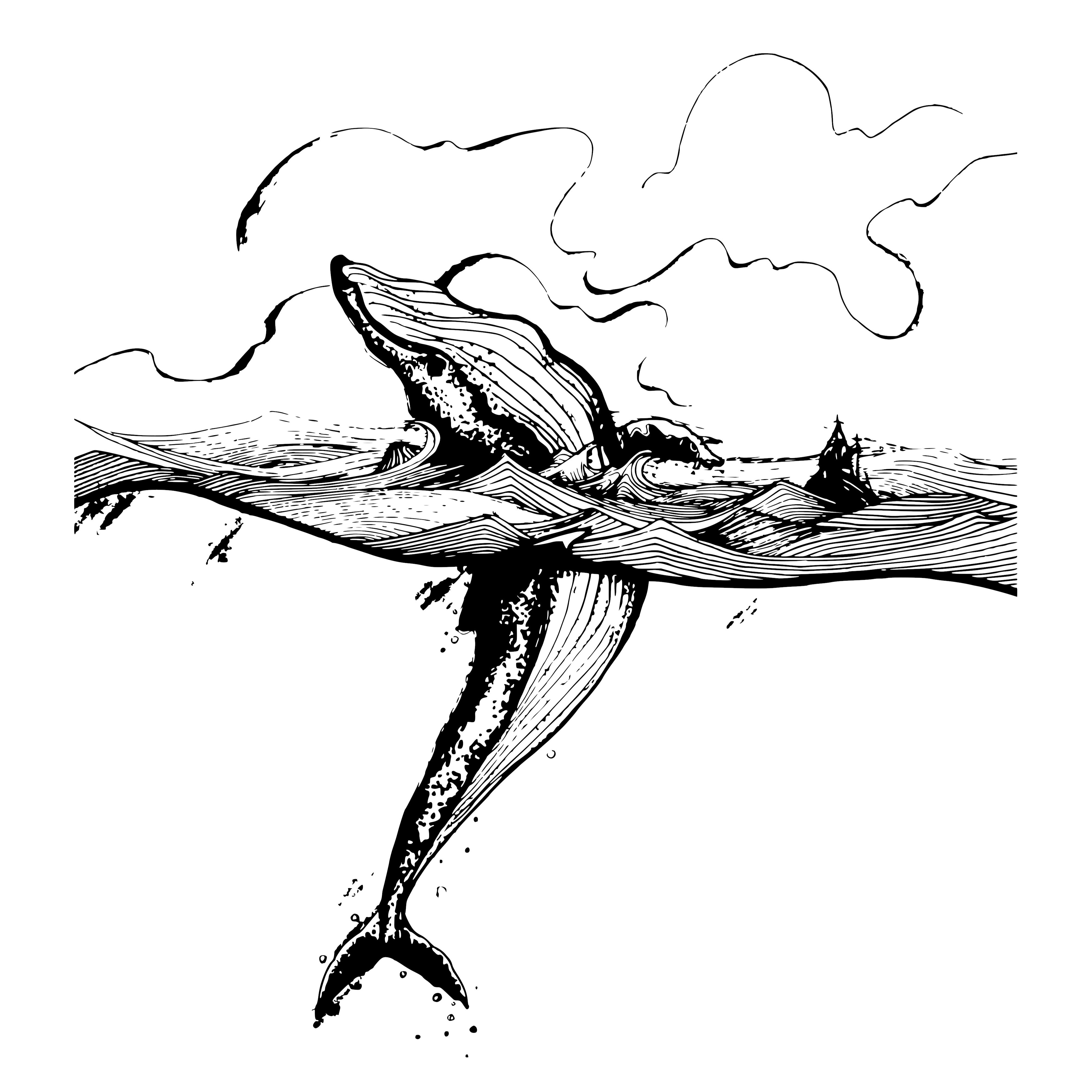 Image inserted here