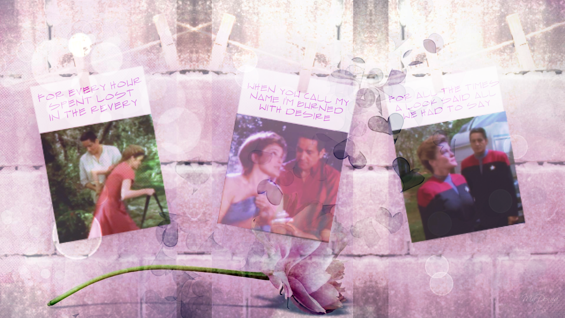 Lightly altered purple background with a flower, bubbles and hearts. Three pieces of photo paper clipped on a rope with pegs against a concrete wall merged using hard light and 75% opacity. Three images of Kathryn and Chakotay during Resolutions symbolising love, lust and heartache and the text is: for every hour spent lost in the reverie (left). when you call my name I'm burned with desire (centre). for all the times a look said all we had to say (right)