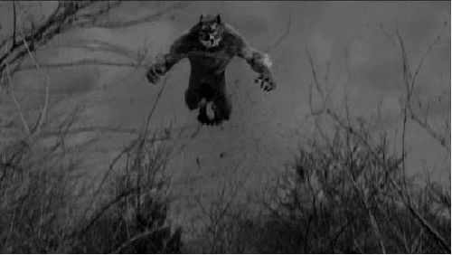 Werewolf attack