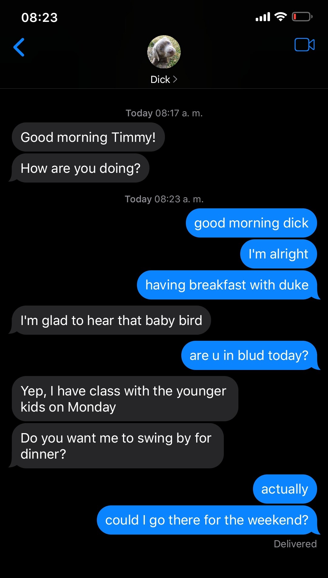 a chat where tim asks dick if he can go to blud