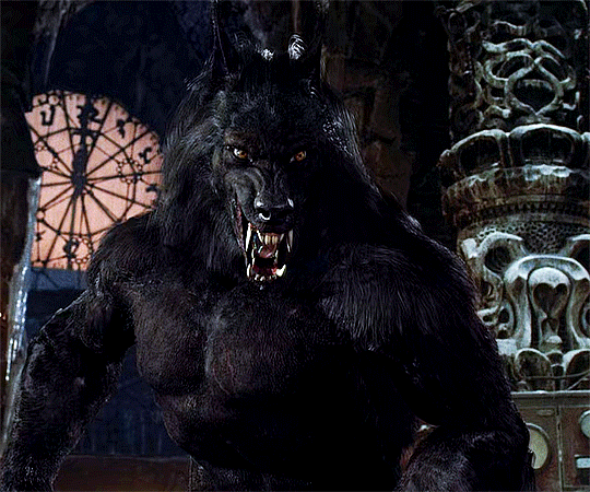 Ticked off werewolf