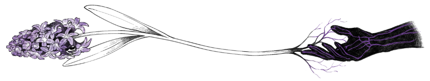 Black, white, and purple illustration of Alhaitham's hand, from which grows a hyacinth flower. Drawn by lalamilali.