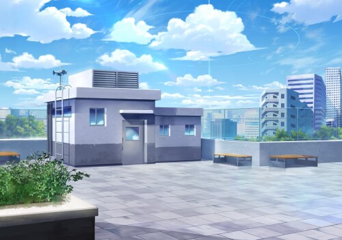BG_SchoolRooftop.jpeg