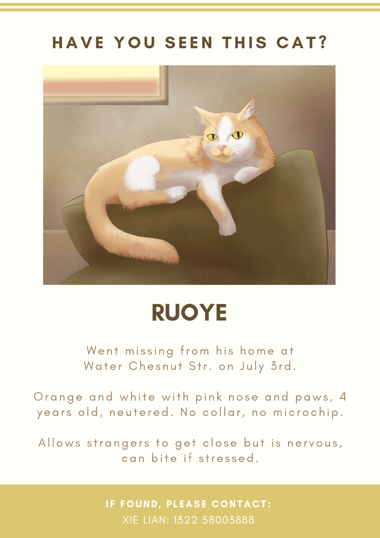 Have you seen this cat?