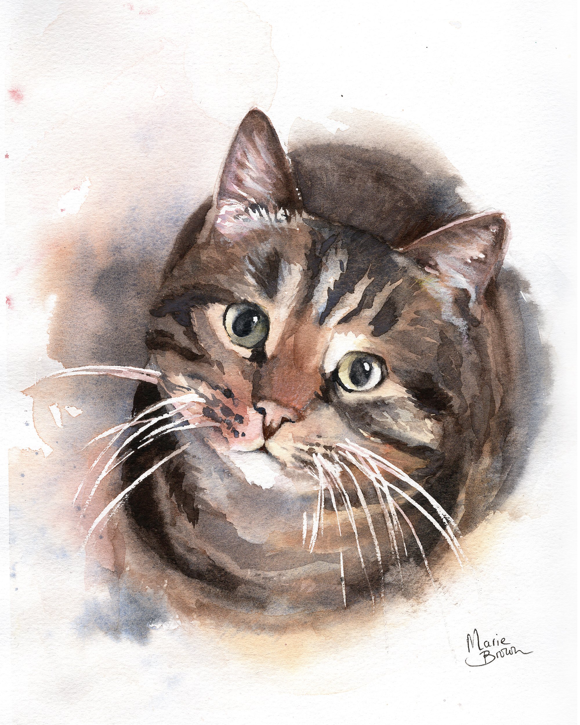 Woody-Tabby-Watercolor-by-Marie-Brown.jpeg