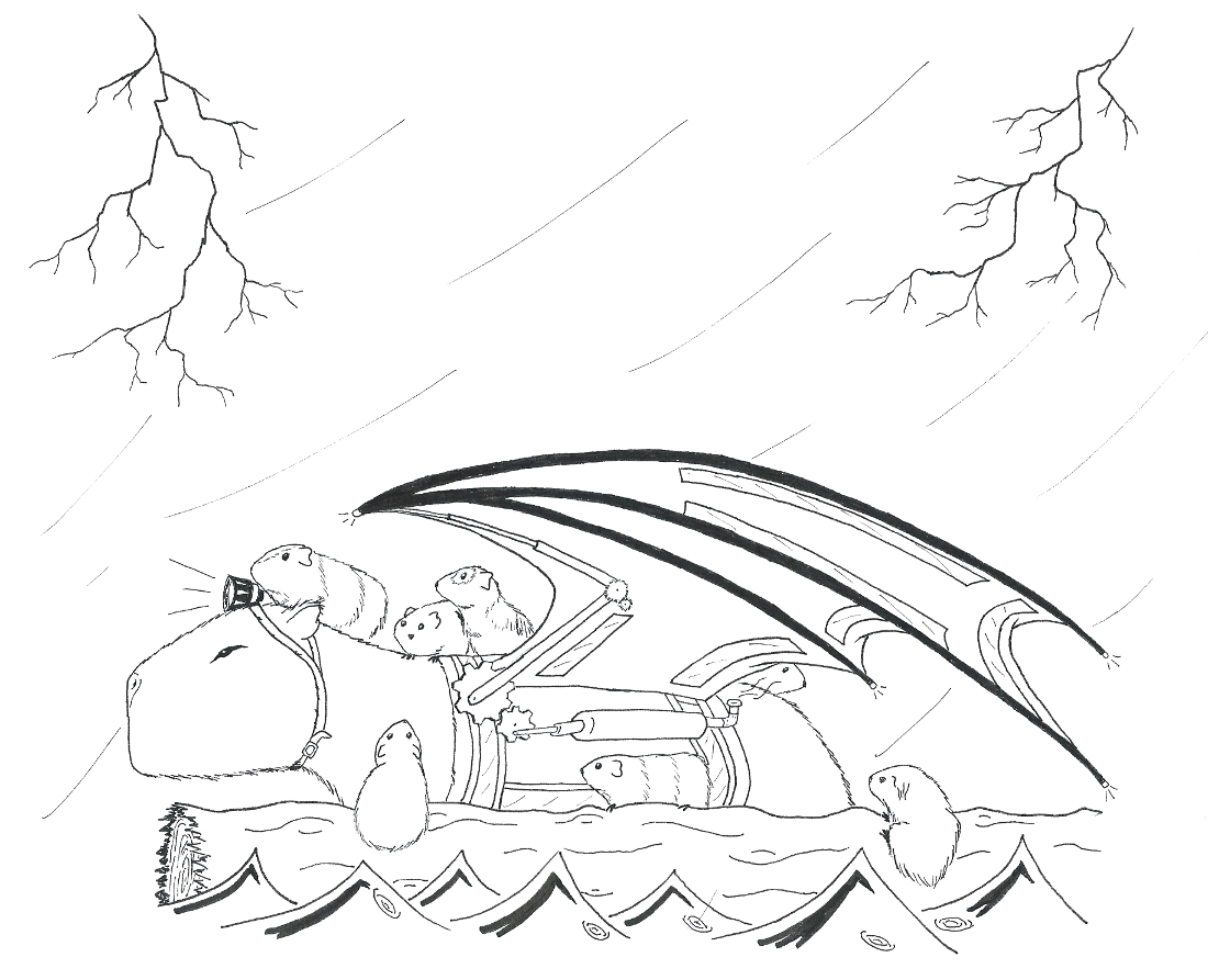 battleship25FlyingCapybaraRescueServiceFinal.png