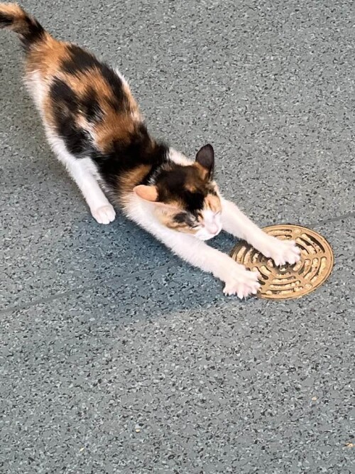 527728901_2465020937216515_5853482655268412616_n.md.jpeg
