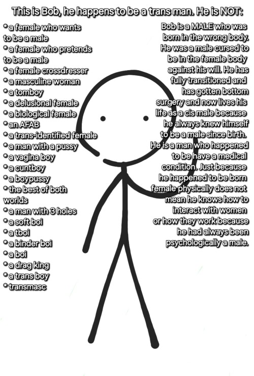 111360966_p0.jpeg