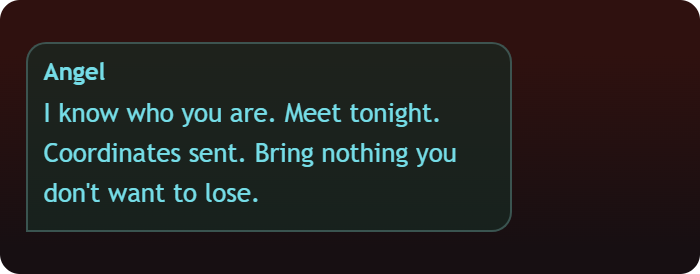 Angel: I know who you are. Meet tonight. Coordinates sent. Bring nothing you don't want to lose.