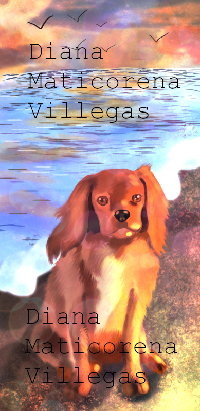 Little-puppy-on-the-beach.jpeg