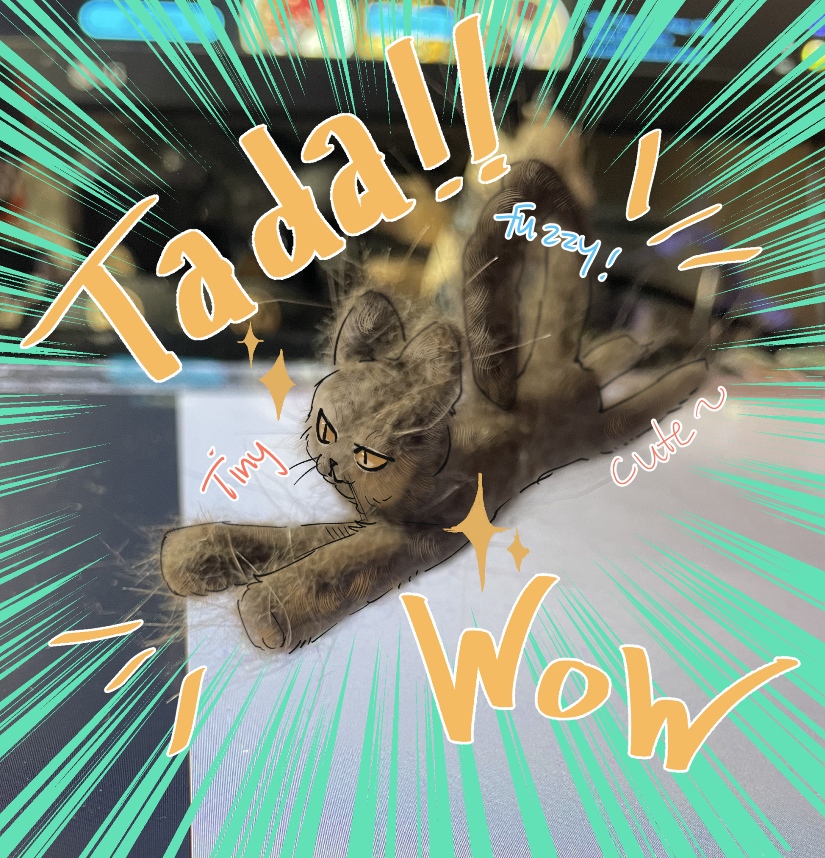 tinycutefuzzy.jpeg