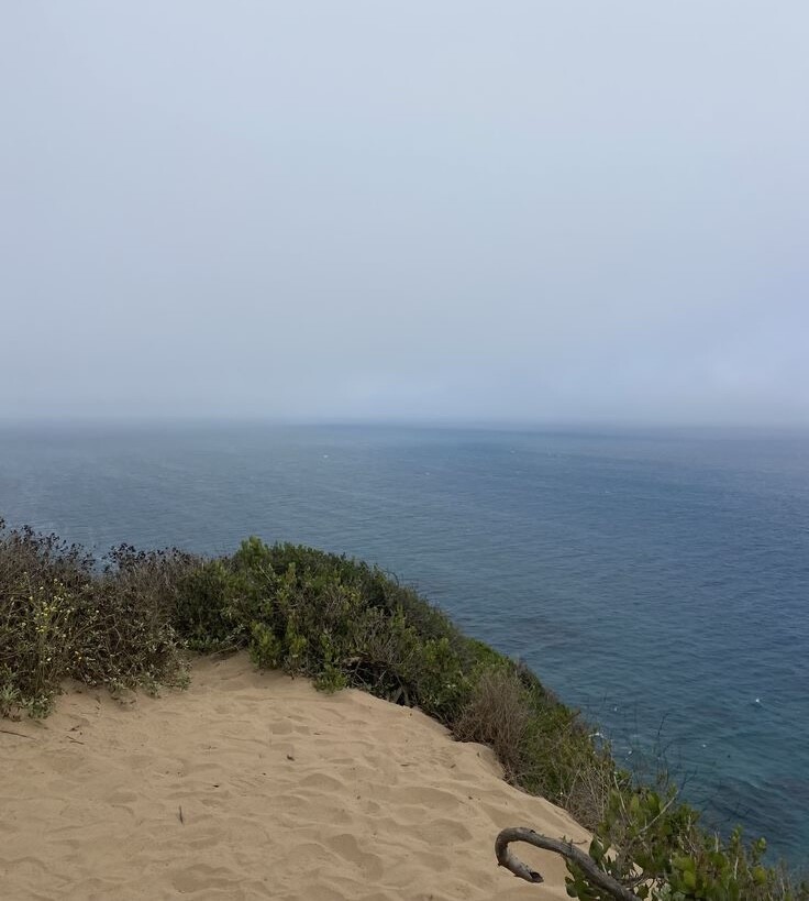 Pt-Dume2.jpeg
