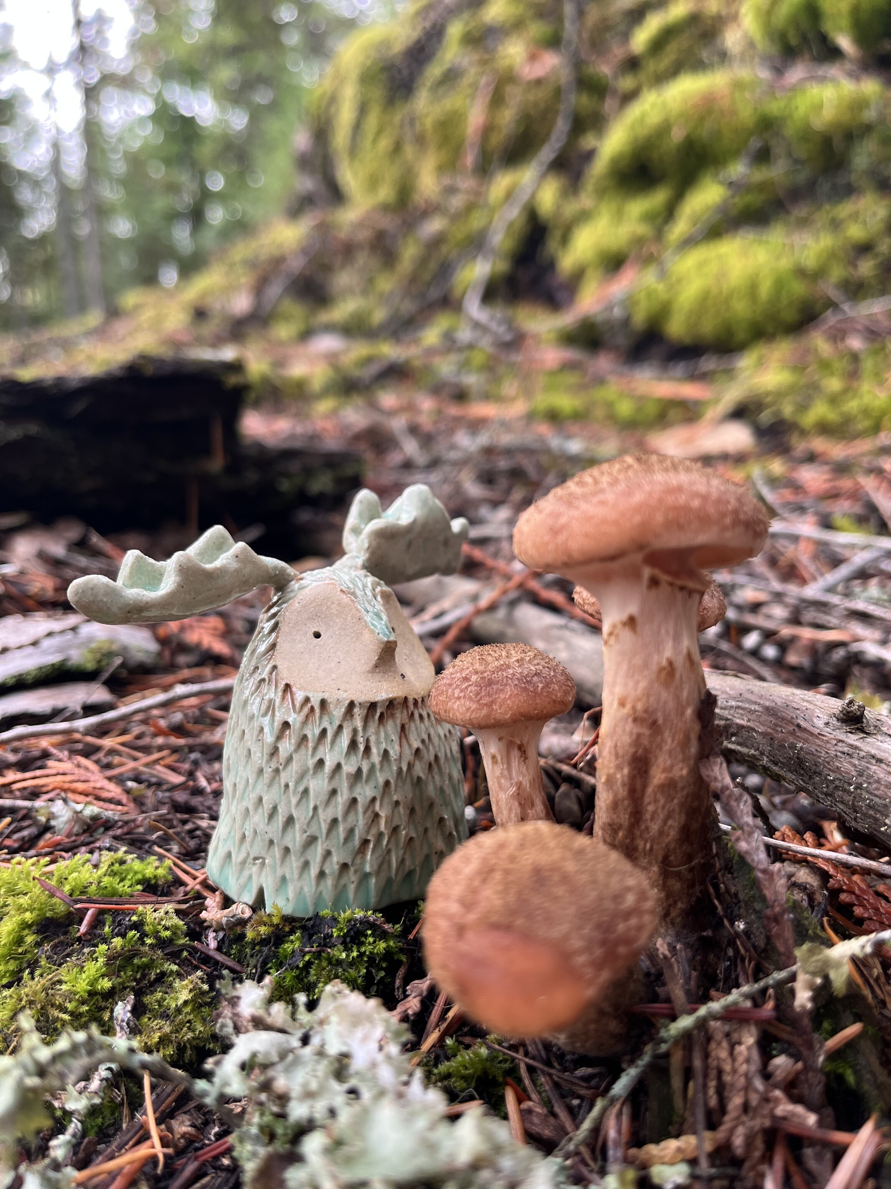 An image of a small ceramic creature with antlers in a forest, sat beside some brown mushrooms. It's about the same size as the mushrooms and seems to be inspecting them.