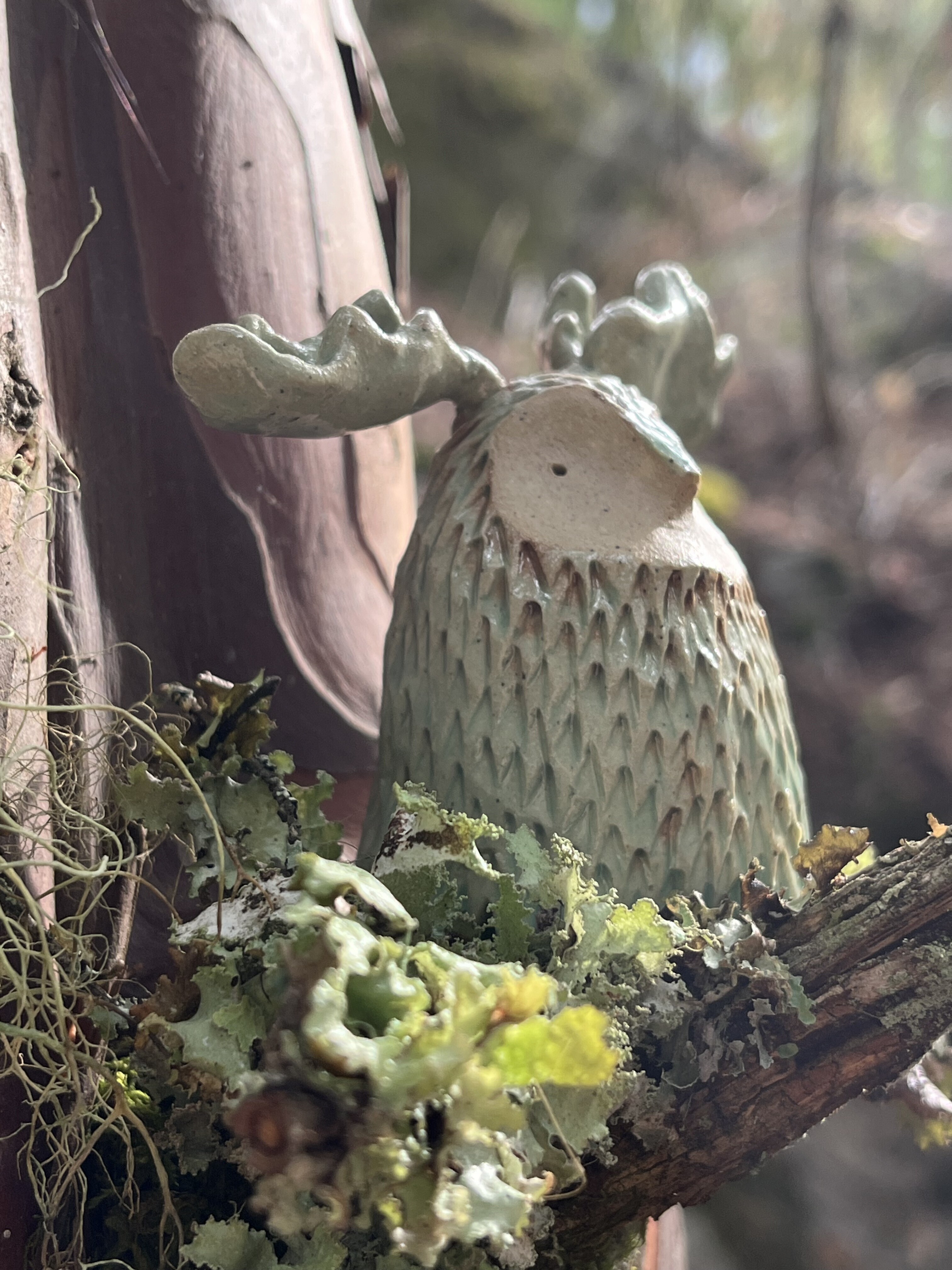 An image of a small ceramic creature with antlers in a forest, sat on the branch of a yew tree. It's nestled in some lichen that matches its blue-green colour.